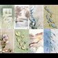 Images pré-perforées à personaliser 2 1 / 2" x 4 1 / 4" / pqt 96