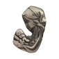 'Madonna & Child'' Pewter Lapel Pin